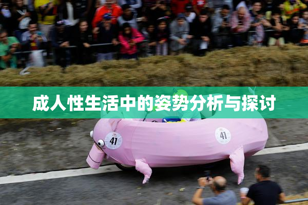 成人性生活中的姿势分析与探讨