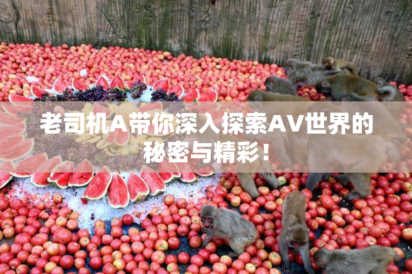老司机A带你深入探索AV世界的秘密与精彩！