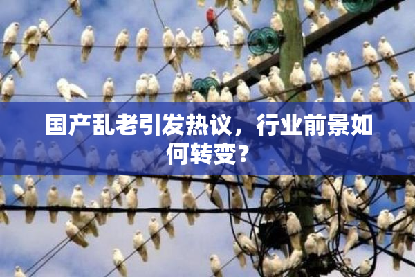国产乱老引发热议，行业前景如何转变？