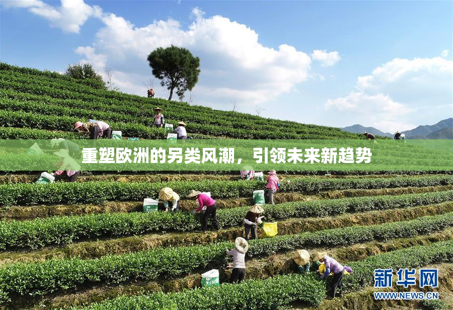 重塑欧洲的另类风潮，引领未来新趋势