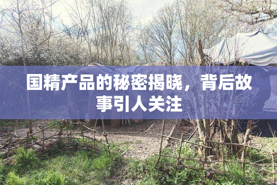 国精产品的秘密揭晓，背后故事引人关注