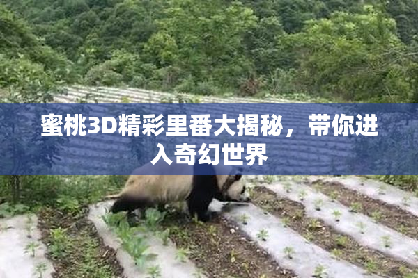 蜜桃3D精彩里番大揭秘，带你进入奇幻世界