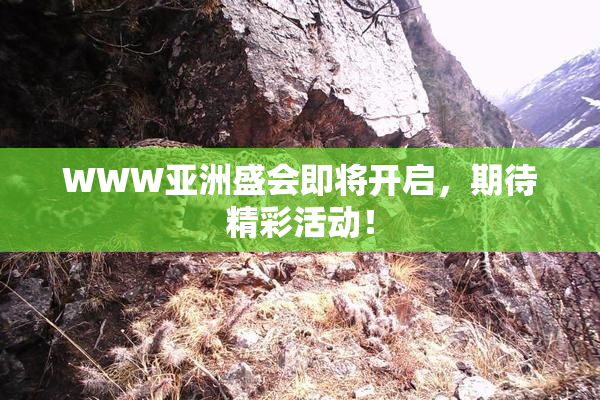 WWW亚洲盛会即将开启，期待精彩活动！