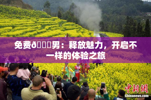 免费🔞男：释放魅力，开启不一样的体验之旅