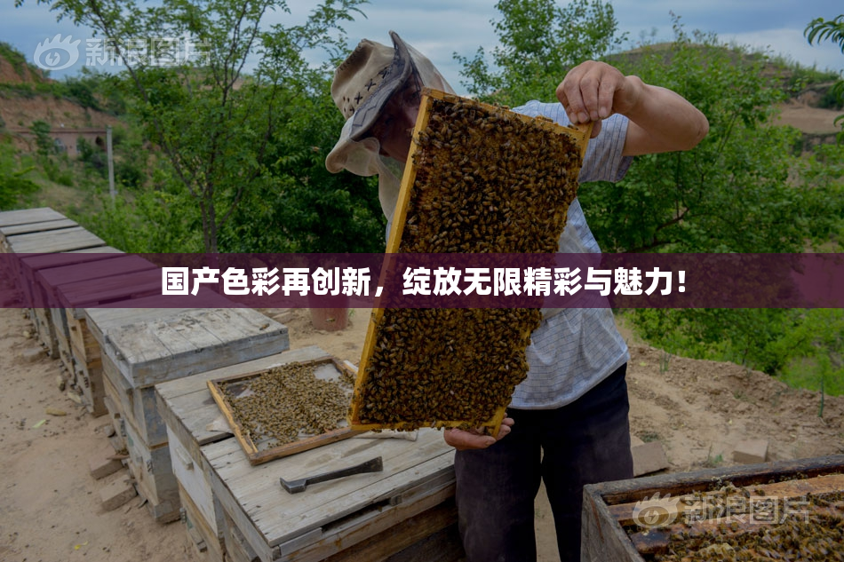 国产色彩再创新，绽放无限精彩与魅力！