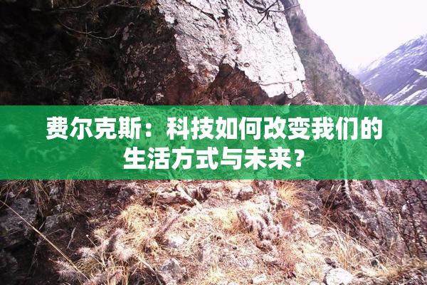 费尔克斯：科技如何改变我们的生活方式与未来？