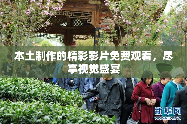 本土制作的精彩影片免费观看，尽享视觉盛宴