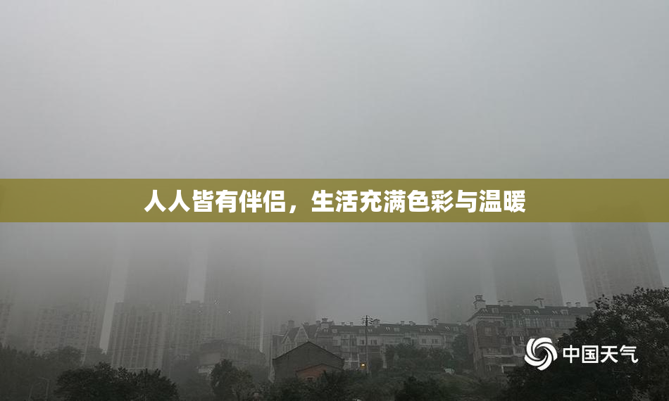 人人皆有伴侣，生活充满色彩与温暖