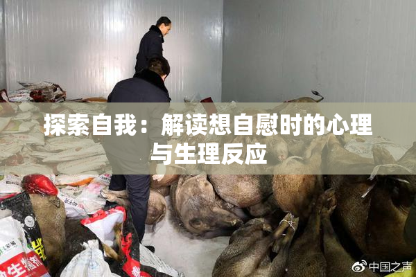 探索自我：解读想自慰时的心理与生理反应
