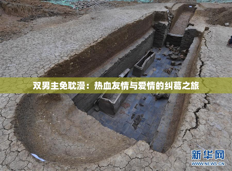双男主免耽漫：热血友情与爱情的纠葛之旅