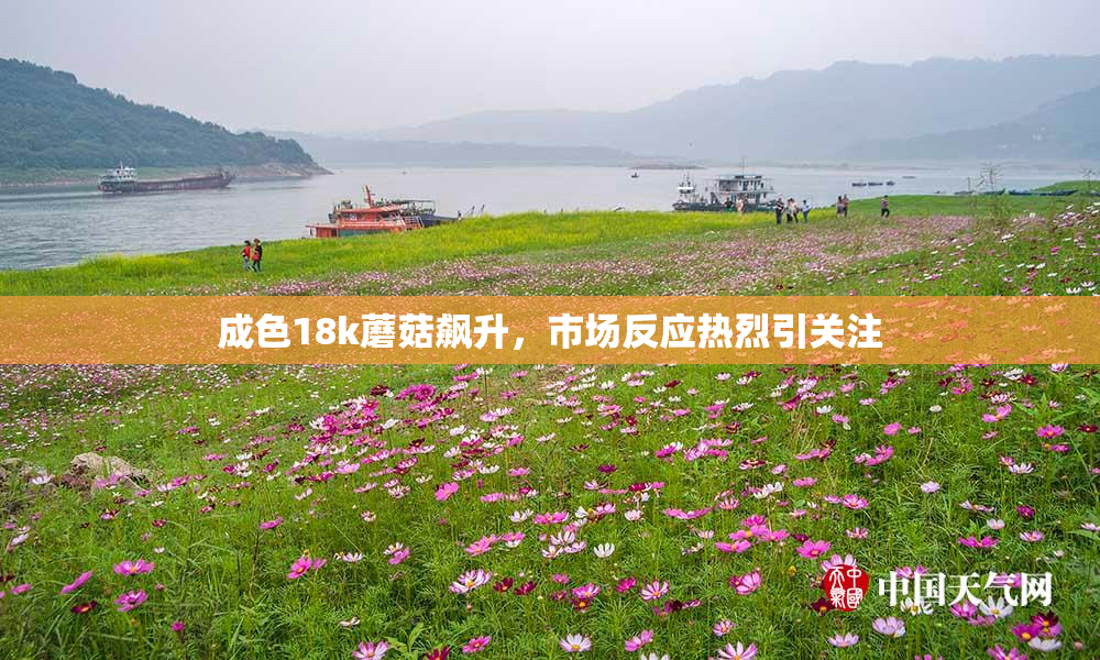 成色18k蘑菇飙升，市场反应热烈引关注