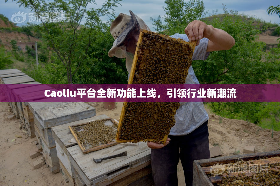 Caoliu平台全新功能上线，引领行业新潮流