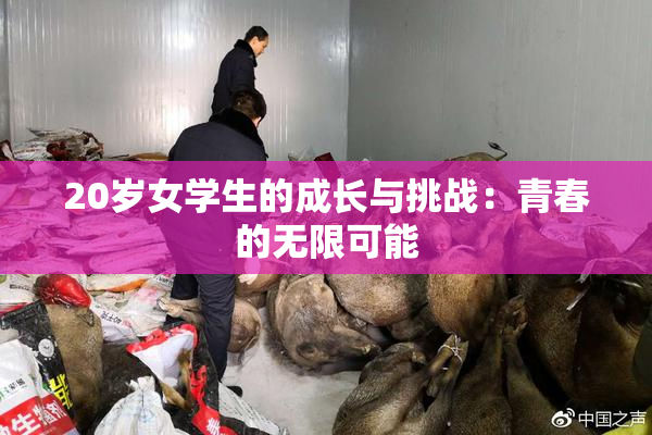 20岁女学生的成长与挑战：青春的无限可能