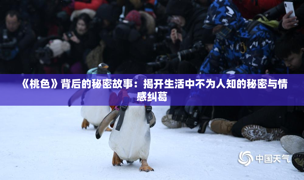 《桃色》背后的秘密故事：揭开生活中不为人知的秘密与情感纠葛