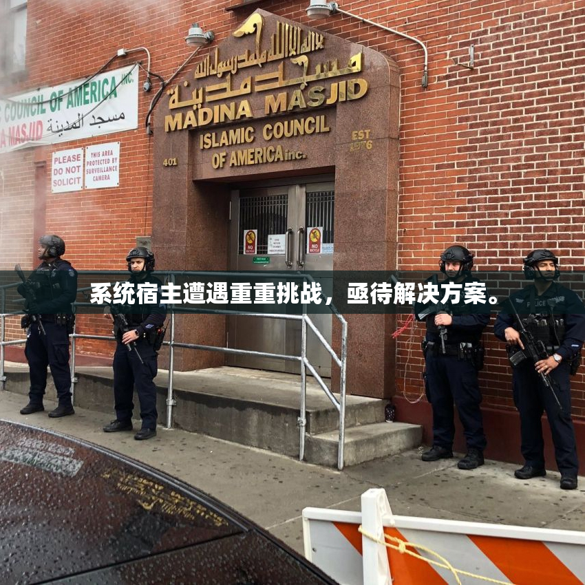 系统宿主遭遇重重挑战，亟待解决方案。