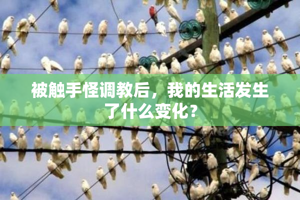 被触手怪调教后，我的生活发生了什么变化？