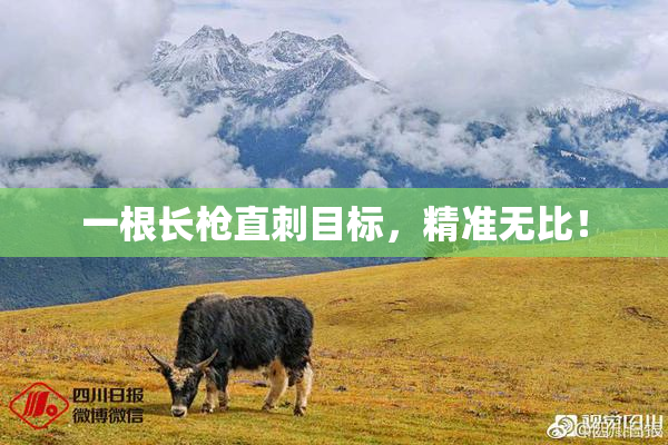 一根长枪直刺目标，精准无比！