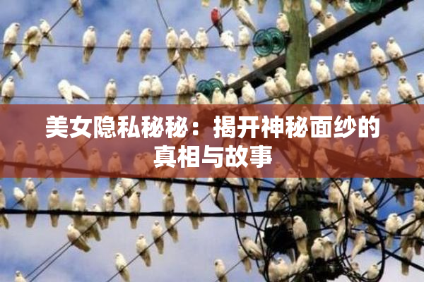 美女隐私秘秘：揭开神秘面纱的真相与故事