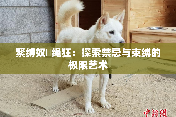 紧缚奴隷绳狂：探索禁忌与束缚的极限艺术