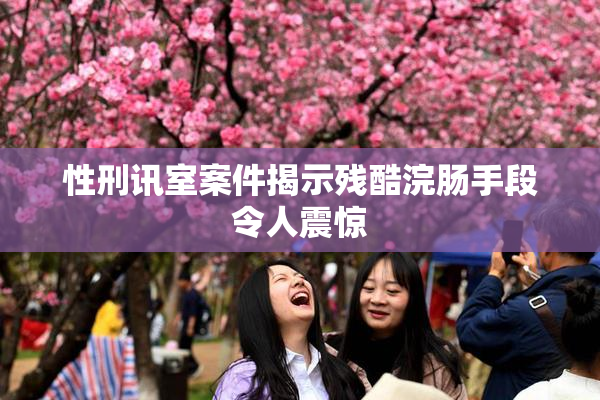 性刑讯室案件揭示残酷浣肠手段令人震惊