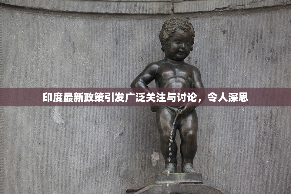 印度最新政策引发广泛关注与讨论，令人深思