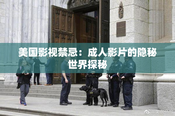 美国影视禁忌：成人影片的隐秘世界探秘