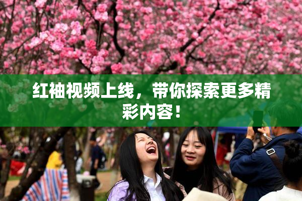 红袖视频上线，带你探索更多精彩内容！