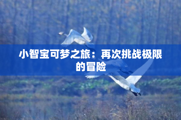 小智宝可梦之旅：再次挑战极限的冒险