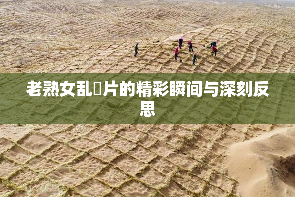 老熟女乱婬片的精彩瞬间与深刻反思