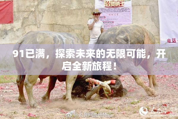 91已满，探索未来的无限可能，开启全新旅程！