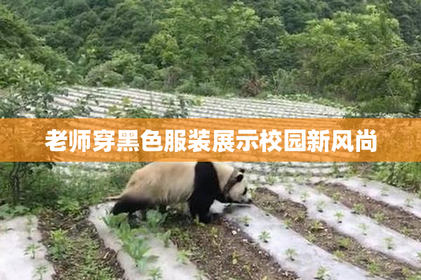 老师穿黑色服装展示校园新风尚