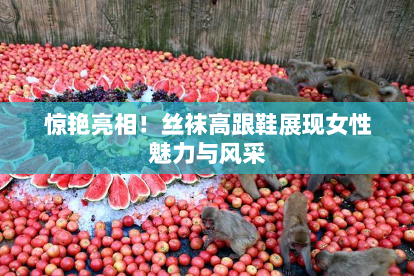惊艳亮相！丝袜高跟鞋展现女性魅力与风采
