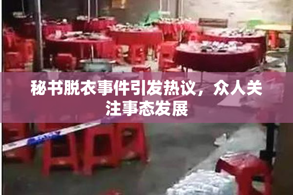 秘书脱衣事件引发热议，众人关注事态发展