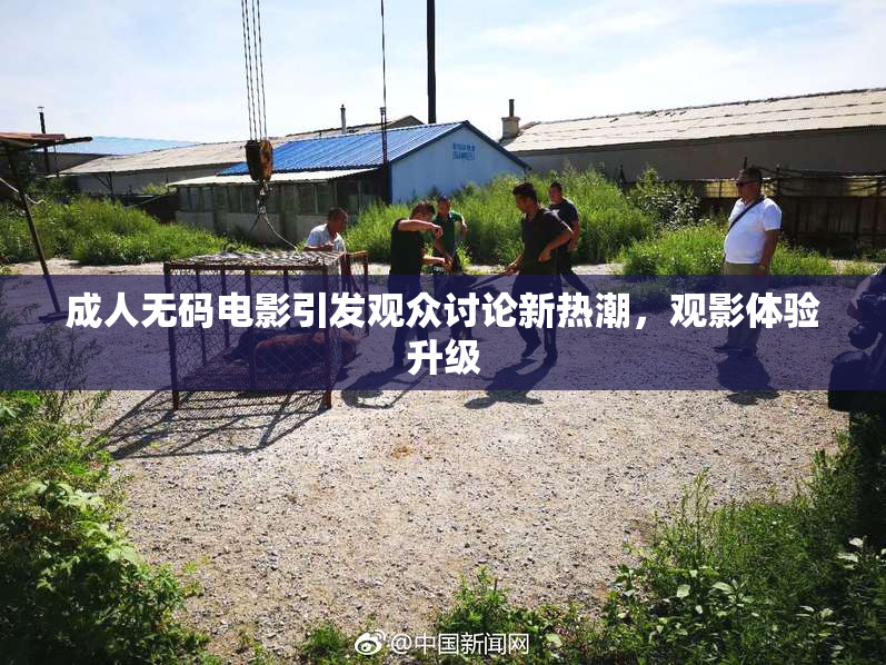 成人无码电影引发观众讨论新热潮，观影体验升级