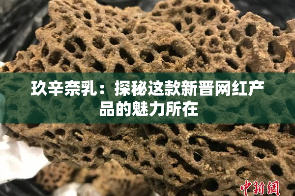 玖辛奈乳：探秘这款新晋网红产品的魅力所在