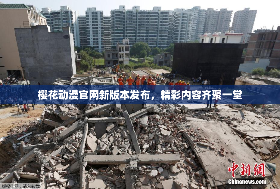 樱花动漫官网新版本发布，精彩内容齐聚一堂