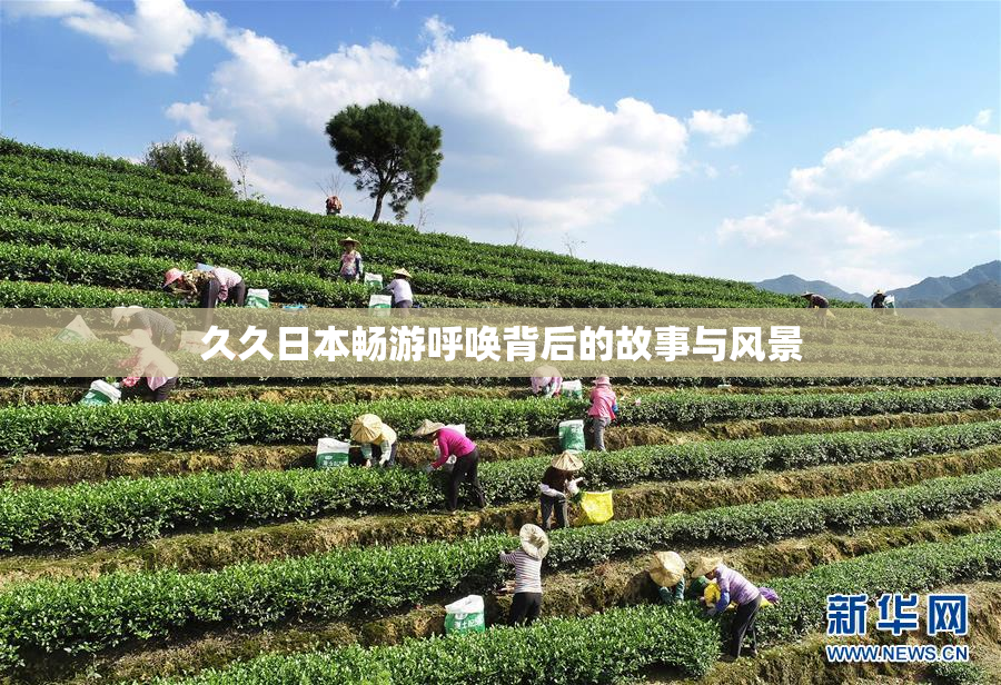 久久日本畅游呼唤背后的故事与风景