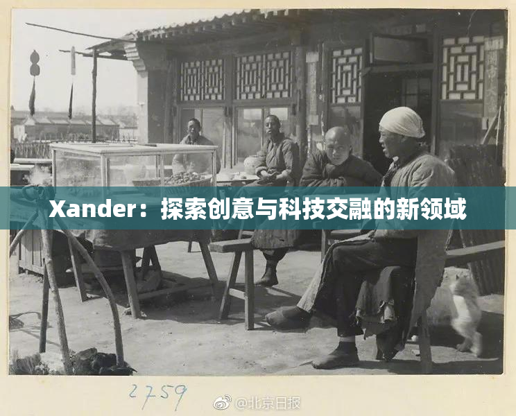 Xander：探索创意与科技交融的新领域