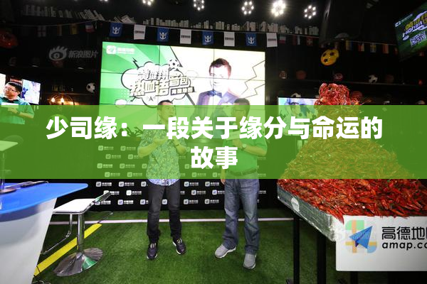 少司缘：一段关于缘分与命运的故事