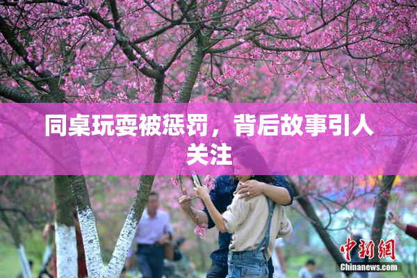 同桌玩耍被惩罚，背后故事引人关注