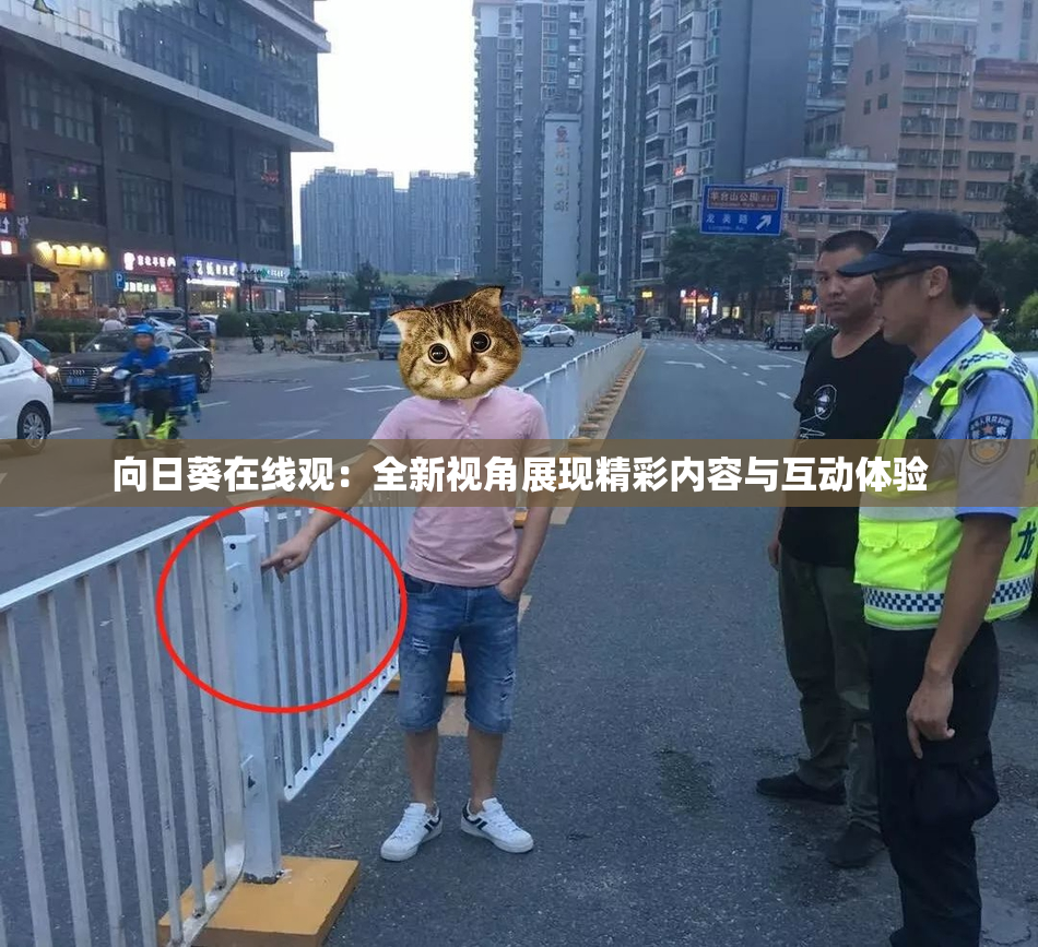 向日葵在线观：全新视角展现精彩内容与互动体验