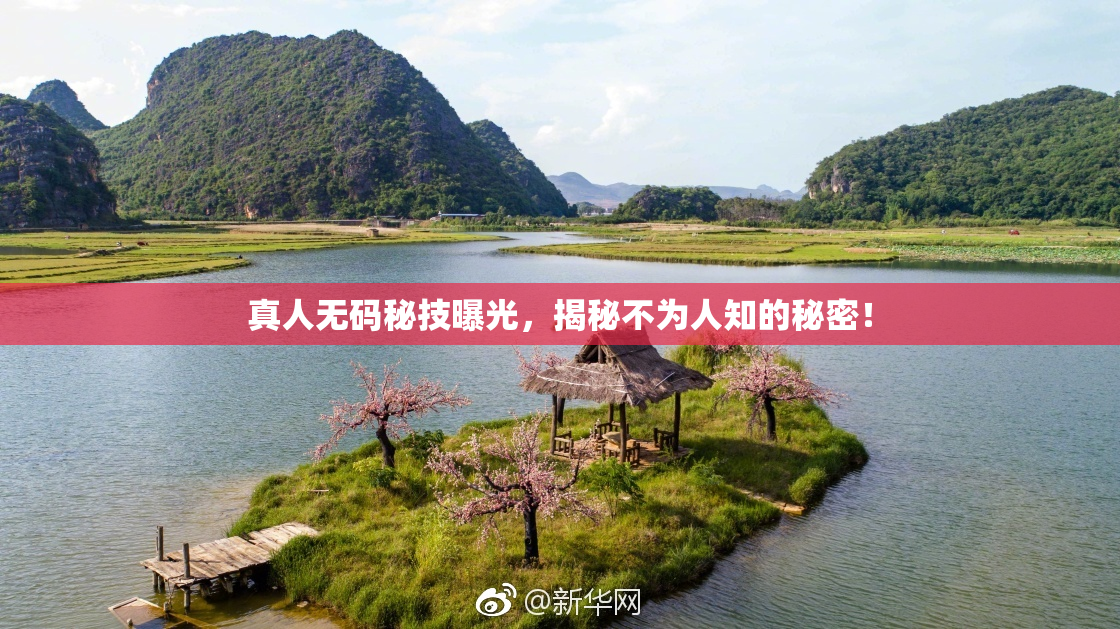 真人无码秘技曝光，揭秘不为人知的秘密！