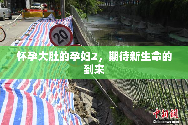 怀孕大肚的孕妇2，期待新生命的到来