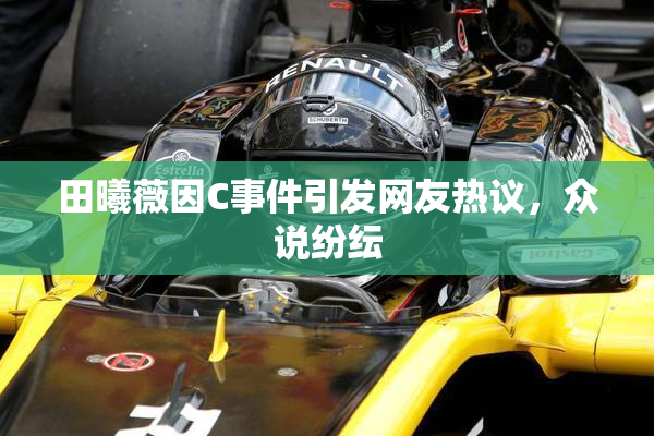 田曦薇因C事件引发网友热议，众说纷纭