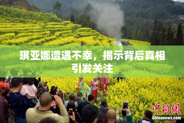 琪亚娜遭遇不幸，揭示背后真相引发关注