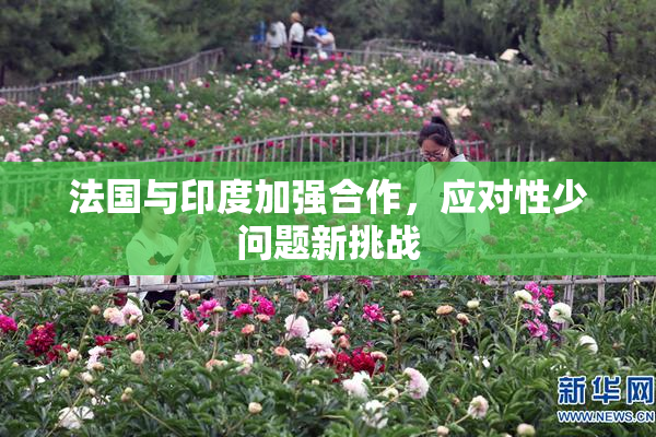 法国与印度加强合作，应对性少问题新挑战