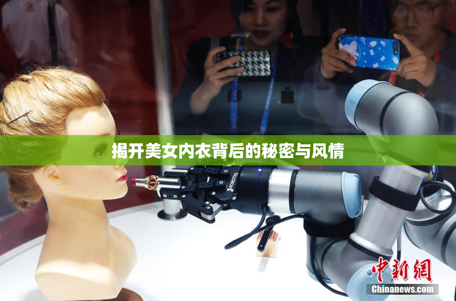 揭开美女内衣背后的秘密与风情