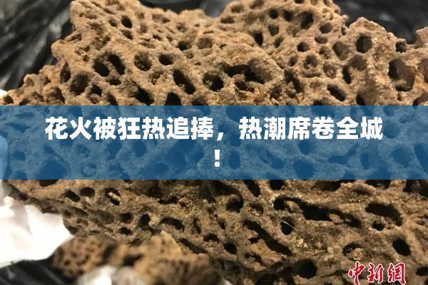 花火被狂热追捧，热潮席卷全城！