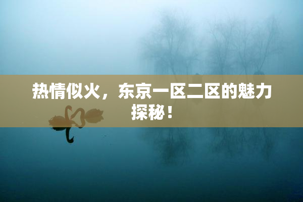 热情似火，东京一区二区的魅力探秘！