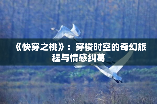 《快穿之桃》：穿梭时空的奇幻旅程与情感纠葛